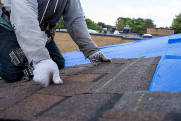 Best Roof Gutter Cleaning  in Trenton, GA