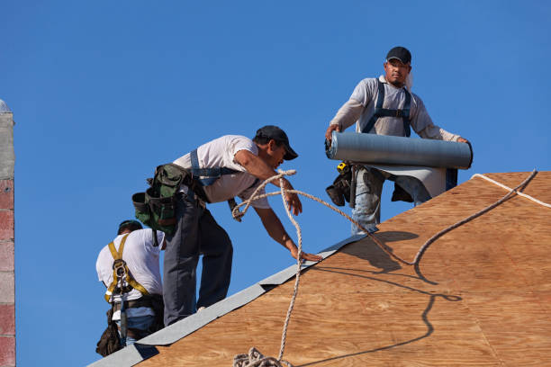 Best Shingle Roofing Installation  in Trenton, GA