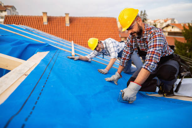 Best Best Roofing Contractors  in Trenton, GA
