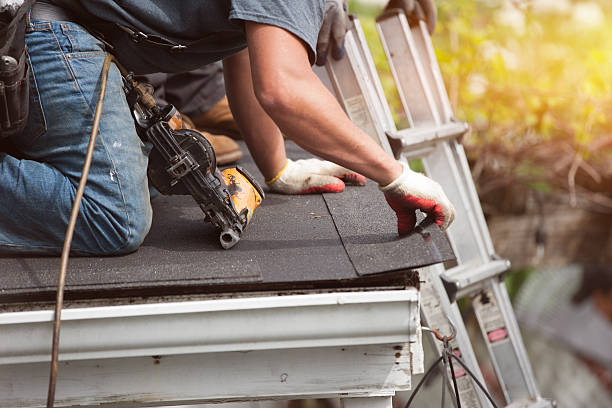 Best Metal Roofing Contractor  in Trenton, GA